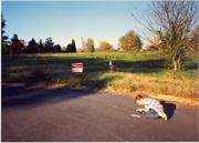 BarrowPix 508